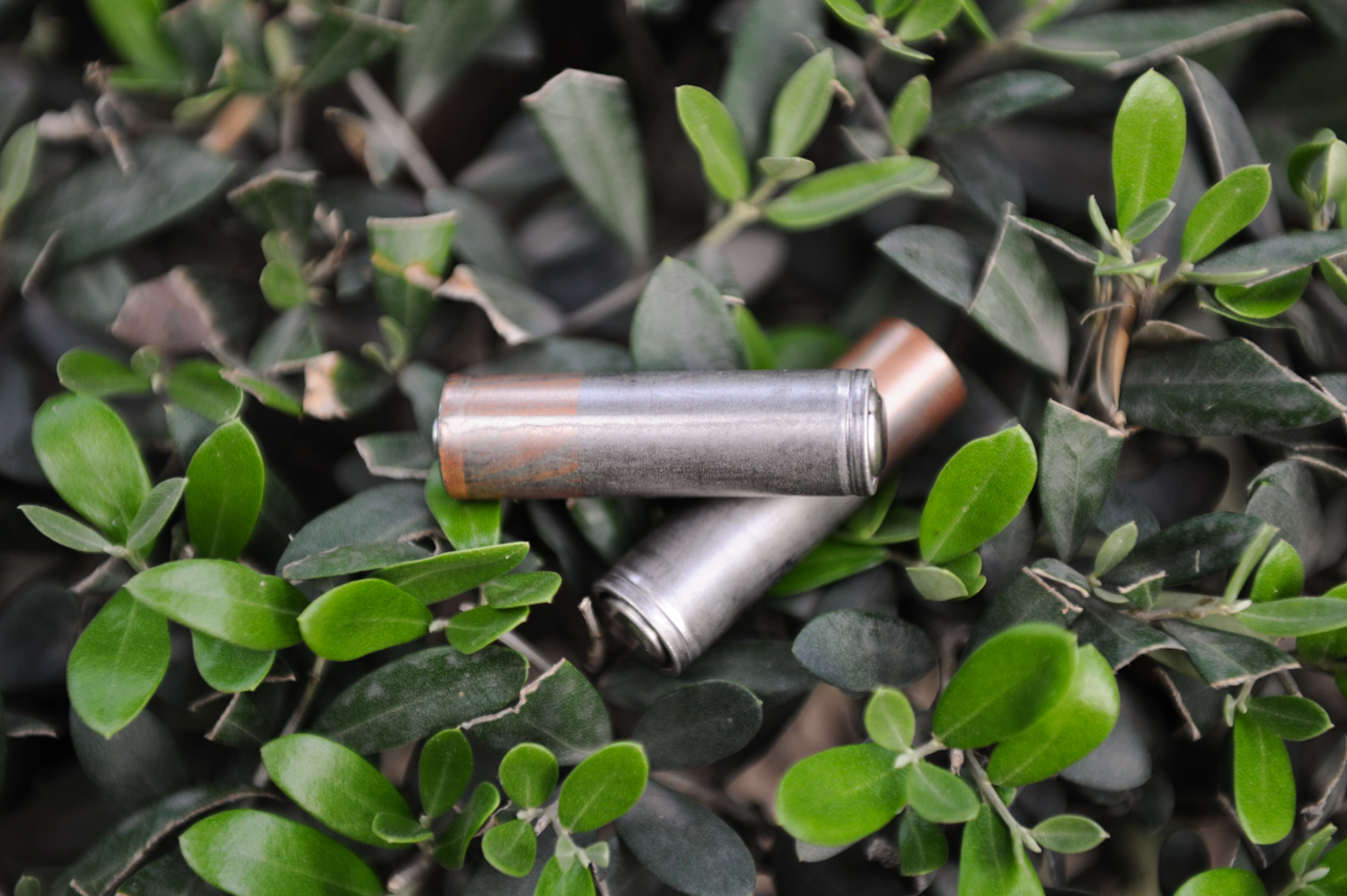 ტოქსიკური ბატარეების ბედი