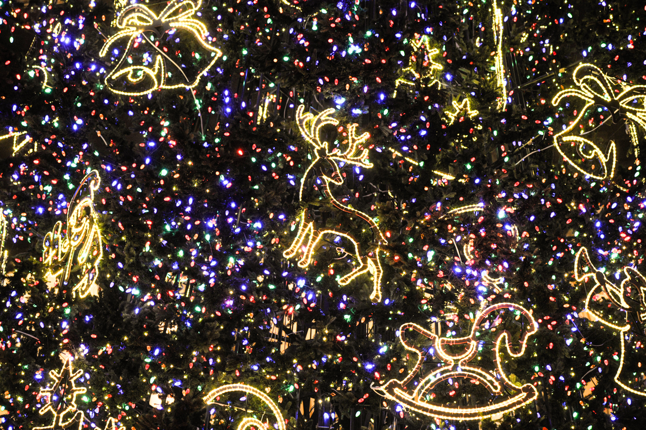 ნაძვის ხე ახალი წელი განათება რუსთაველის გამზირი