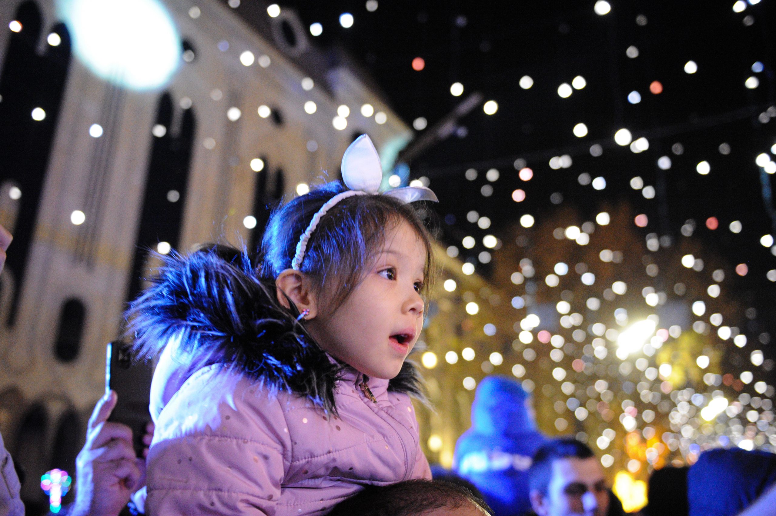 ნაძვის ხე ახალი წელი განათება რუსთაველის გამზირი